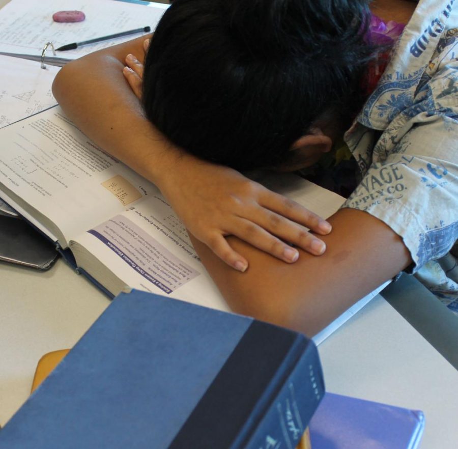 Junior Samantha Childs asleep on a pile of homework. 
Photo courtesy of Syerra Milliman