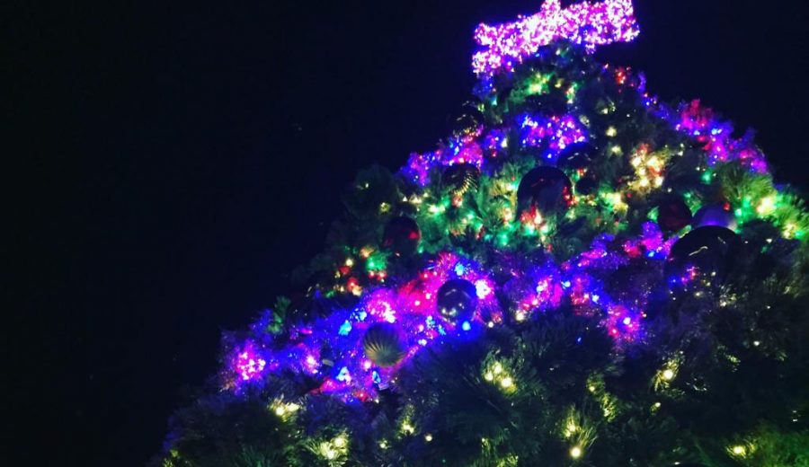 A decorated tree at Christmas Town

Photo courtesy of  https://twitter.com/BuschGardensVA under creative commons license