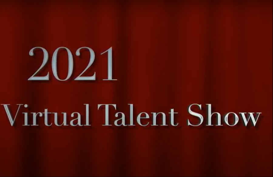 Fluco Virtual Talent Show