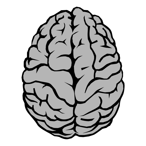https://freesvg.org/brain-illustration