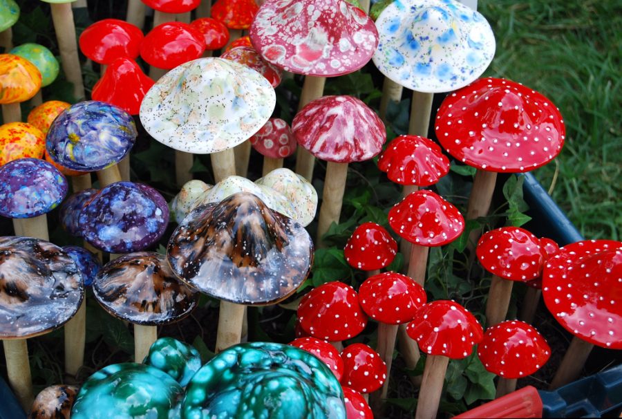 https://commons.wikimedia.org/wiki/File:Magic_mushrooms.jpg