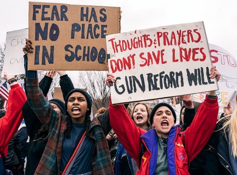 People at a gun control rally in Washington, D.C.
