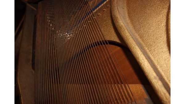 The inside of a piano. Photo courtesy of Ellie Sam.