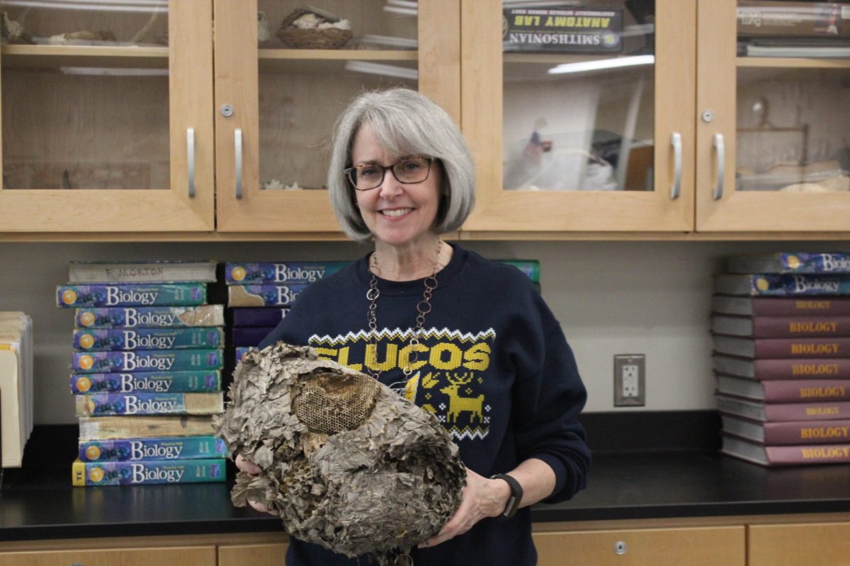 Science teacher Elizabeth Hubbard shows one of her bee hives in class. 