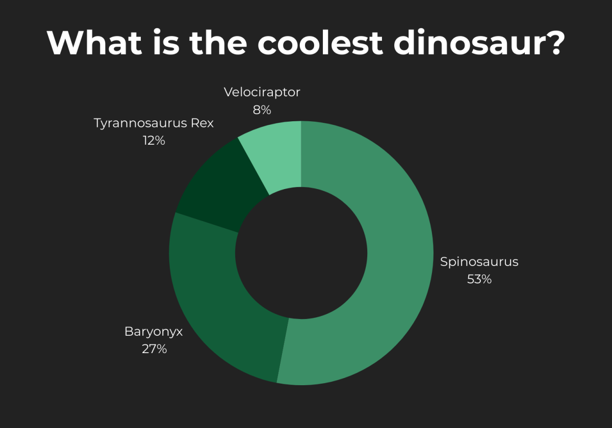 Graphic created on Canva by Fluco Journalism using data captured by the @flucojournalism Instagram account.