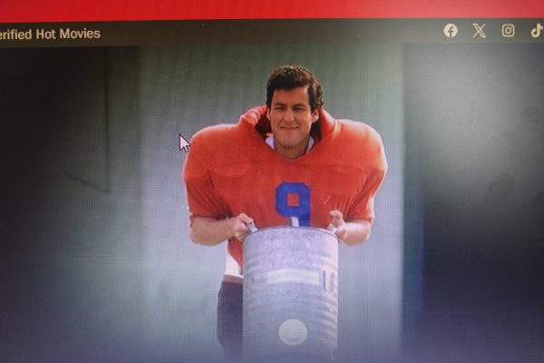 Waterboy poster