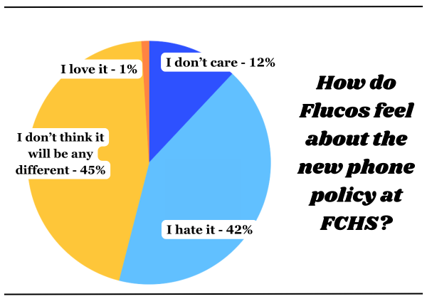 Graphic created on Canva by Fluco Journalism using data captured by the @flucojournalism Instagram account.