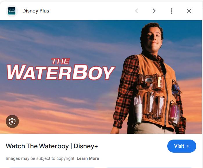 An image of "The Waterboy" poster on Disney Plus. 