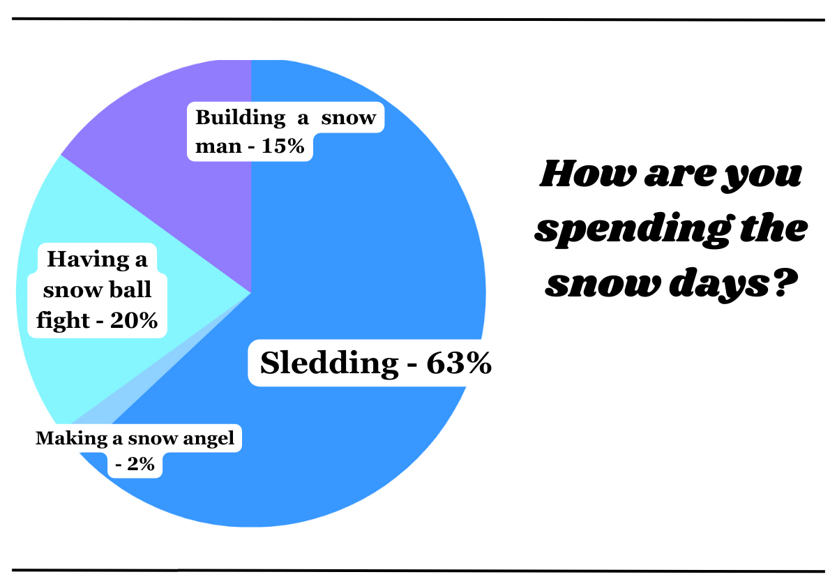 Graphic created on Canva by Fluco Journalism using data captured by the @flucojournalism Instagram account.