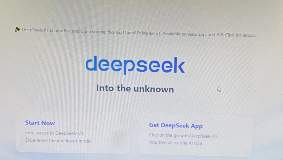 Deepseek's website on Google.com