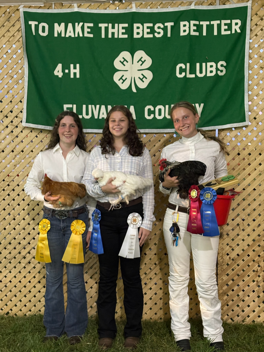 Alex Swingle, Bridgette Thomson, and Riley Gordon (read left to right) holding their fair Chickens.