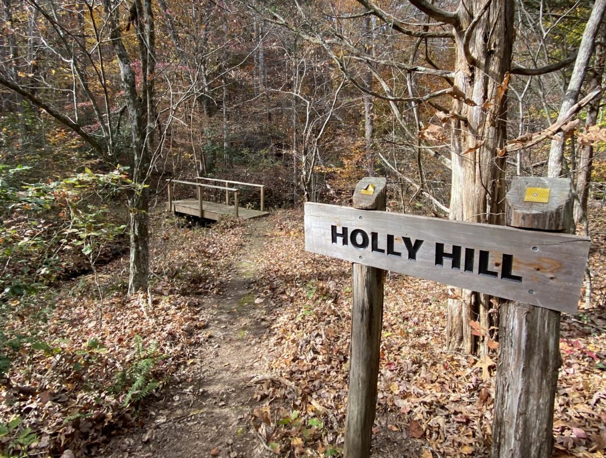 One of the many trails of the Woodlands, "Holly Hill."