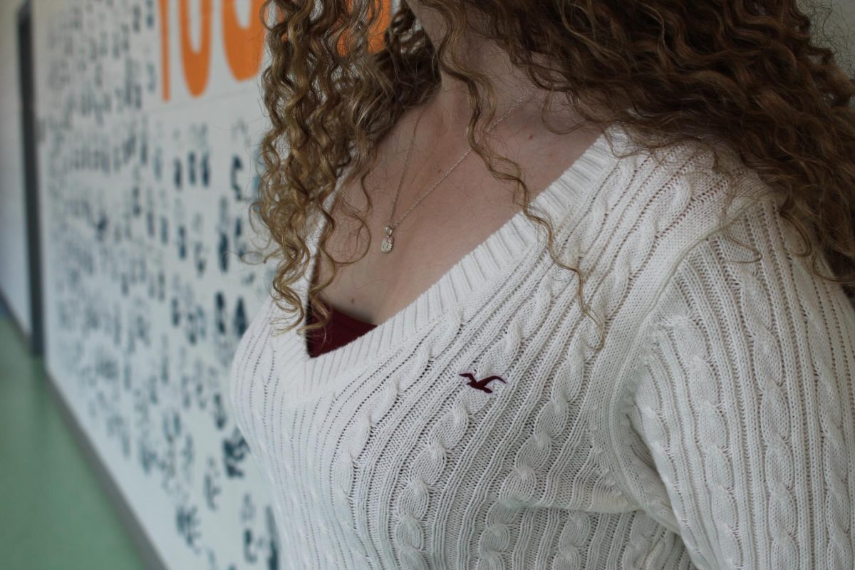 Picture of Senior Lily Calvo wearing Hollister sweater