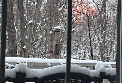 Four Snow Days Leads to Changes for FCPS