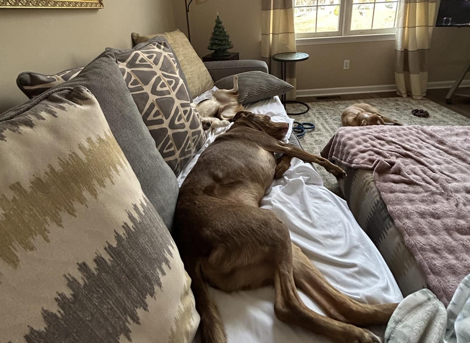 Cooped Up But Cozy: Inside Students’ Snow Days