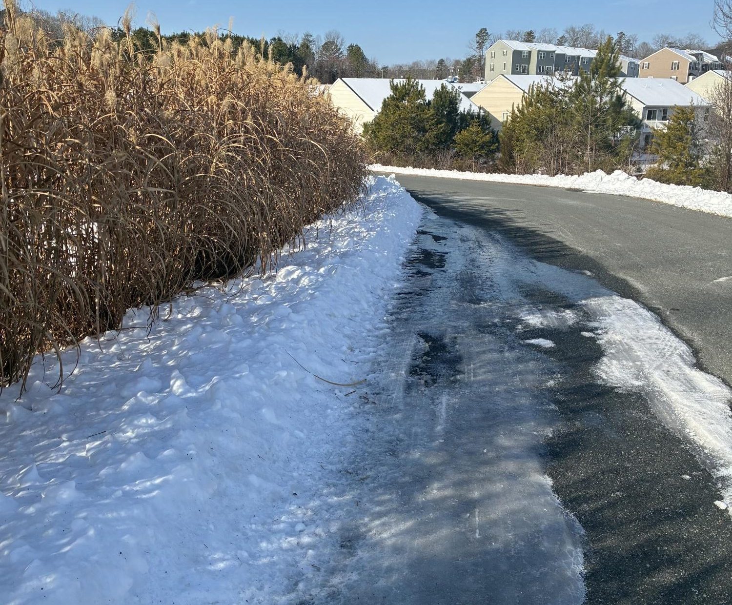 Cooped Up But Cozy: Inside Students’ Snow Days