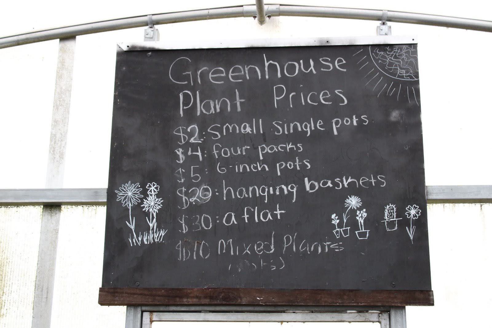 An Hour in... Plant Sale Prep