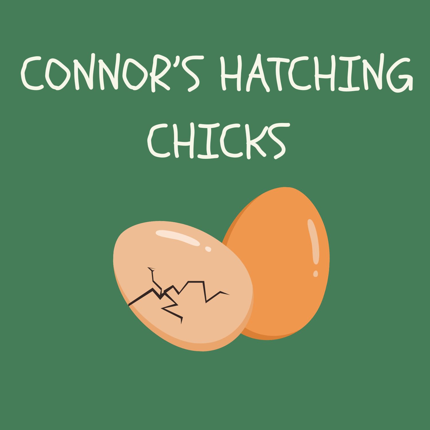 An Hour In... Conner's Hatching Chicks