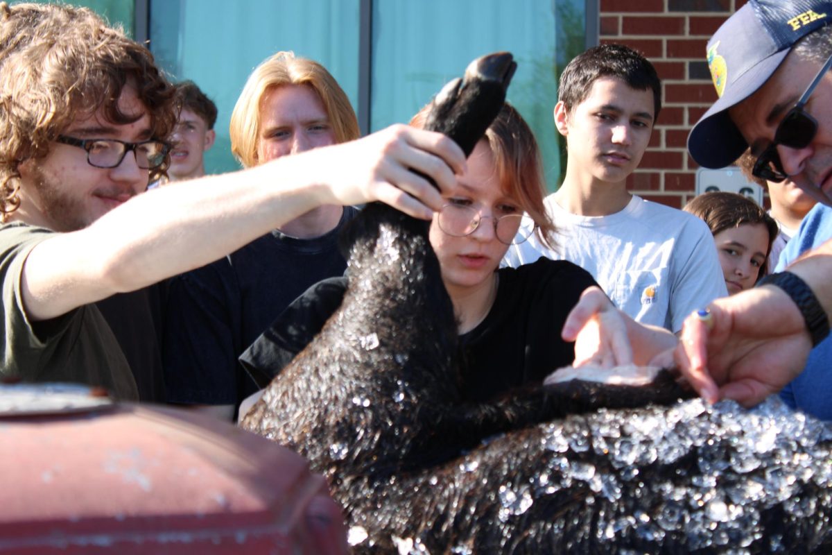 Juniors Colt Davis (left) and Kaylee "Lief" Lines lifting up a pig's leg.